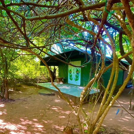 Yala Podi Hoona Bush Camp Hotel Ngoại thất bức ảnh