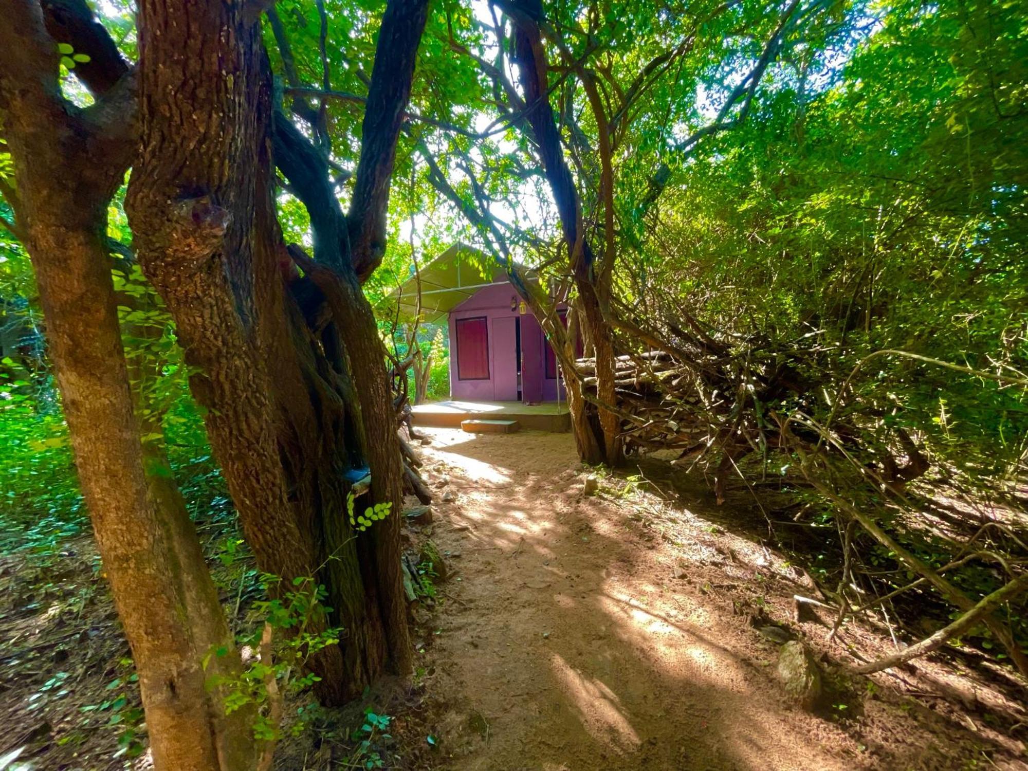 Yala Podi Hoona Bush Camp Hotel Ngoại thất bức ảnh
