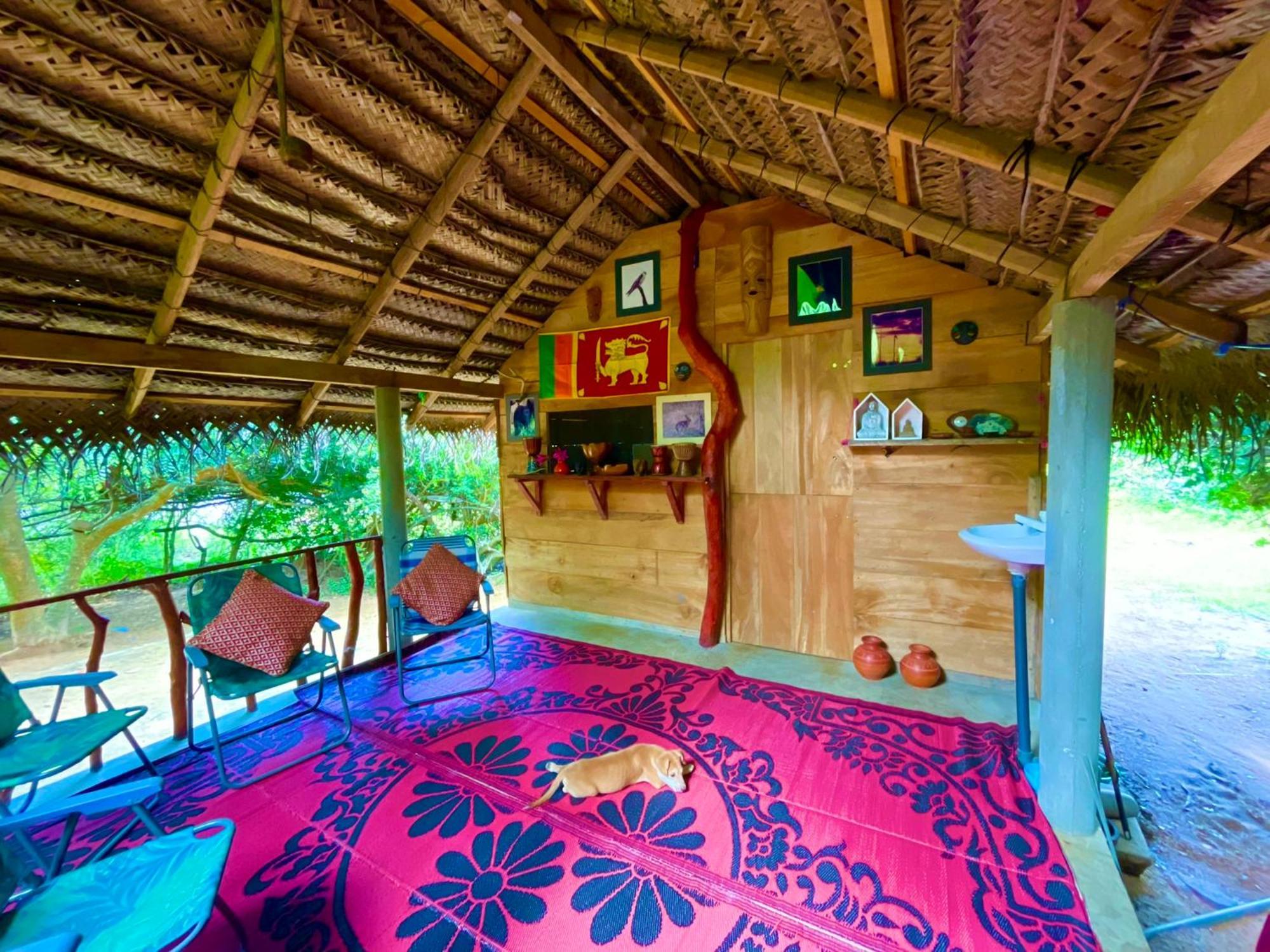 Yala Podi Hoona Bush Camp Hotel Ngoại thất bức ảnh